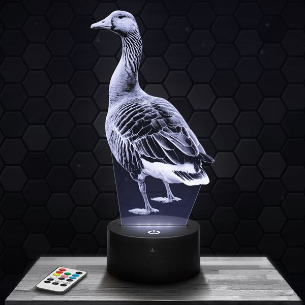 lampe-3d-oie-600